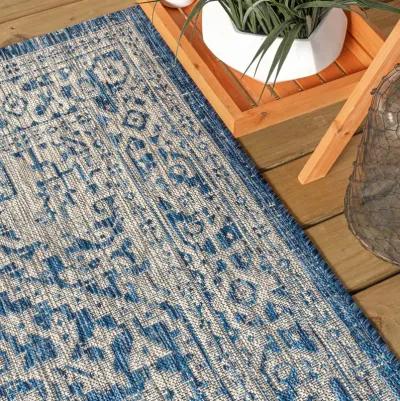 Sinjuri Medallion Textured Weave Indoor/Outdoor Area Rug