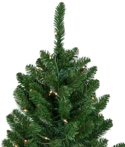 15' Pre-Lit Genoa Fraser Fir Slim Artificial Christmas Tree  Clear Lights