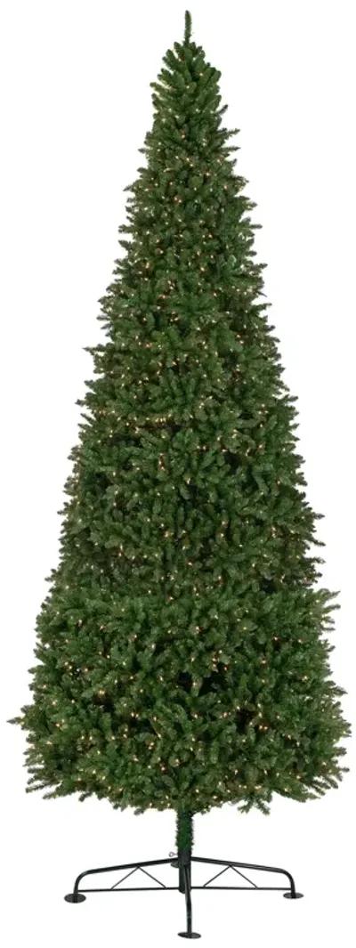 15' Pre-Lit Genoa Fraser Fir Slim Artificial Christmas Tree  Clear Lights