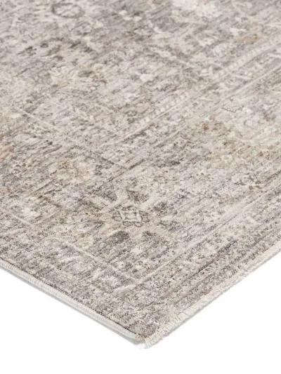 Cyprus CY9 Silver 3' x 5' Rug