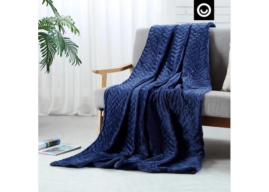 Cozy Tyme Lehana Weighted Blanket 15 Pound 48"x72"