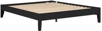 Cavi California King Platform Bed Frame, Low Profile Tapered Legs, Black - Benzara