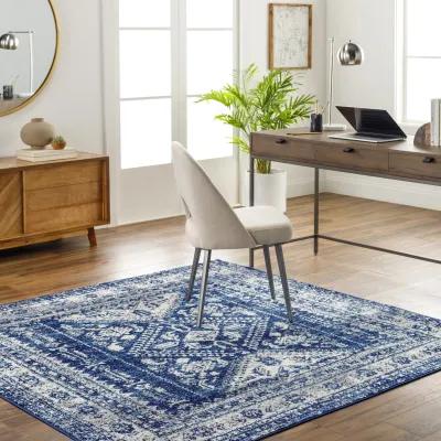 Monte Carlo MNC-2312 10' x 14' Blue Rug