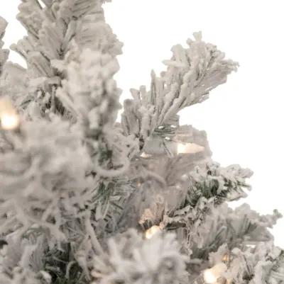 2' Pre-Lit Flocked Madison Pine Artificial Christmas Tree  Clear Lights