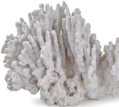 Coral Art Piece Large