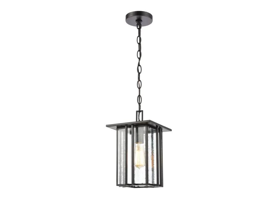 Radnor 8'' Wide 1-Light Outdoor Pendant