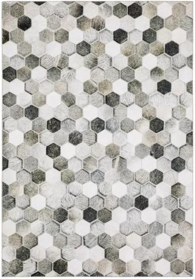 Myers Park 5' x 7' Grey Rug