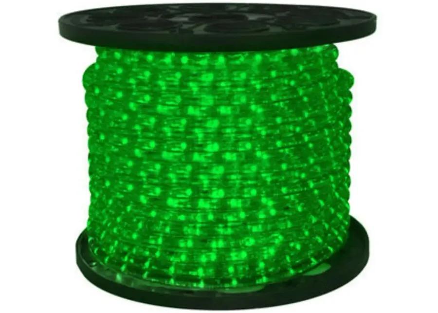 Green LED Commericial Grade Outdoor Christmas Rope Lights on a Spool - 288 ft Clear Tube