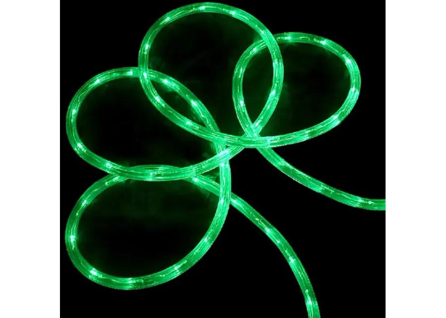 Green LED Commericial Grade Outdoor Christmas Rope Lights on a Spool - 288 ft Clear Tube