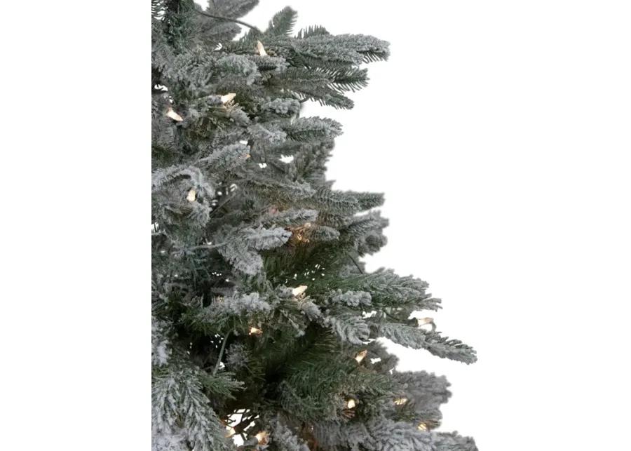 4.5' Pre-Lit Flocked Whistler Noble Fir Artificial Christmas Tree  Clear Lights