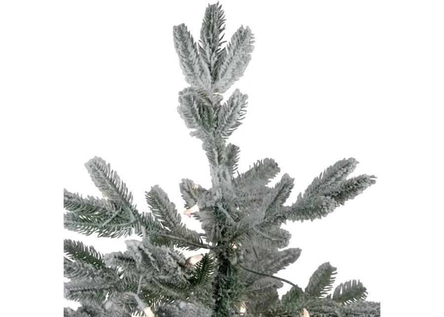 4.5' Pre-Lit Flocked Whistler Noble Fir Artificial Christmas Tree  Clear Lights