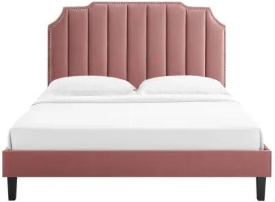 Modway - Colette King Performance Velvet Platform Bed