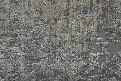 Cadiz 3888F Taupe/Gray/Silver 4'10" x 7'10" Rug