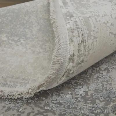 Cadiz 3888F Taupe/Gray/Silver 4'10" x 7'10" Rug