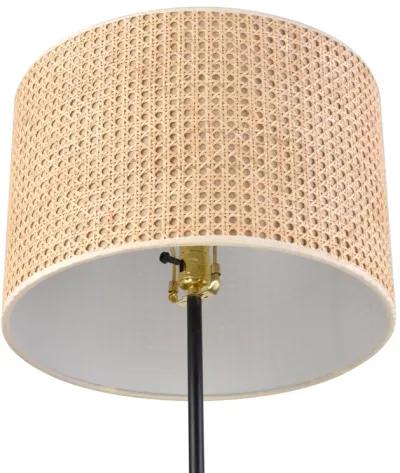 Baitz Floor Lamp