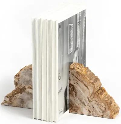 Petrified Wood Book Ends