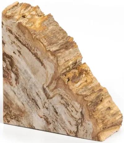 Petrified Wood Book Ends