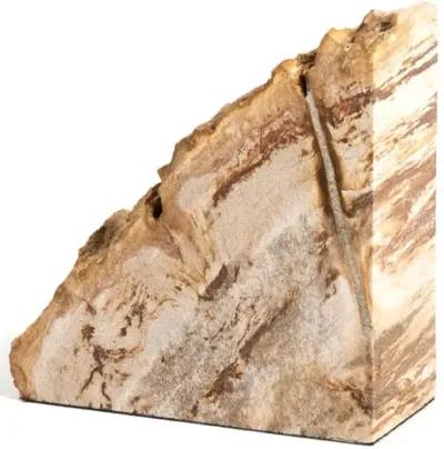 Petrified Wood Book Ends