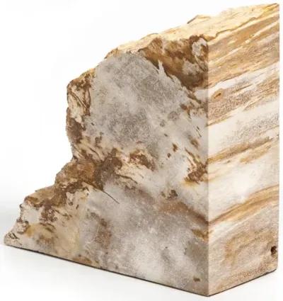 Petrified Wood Book Ends