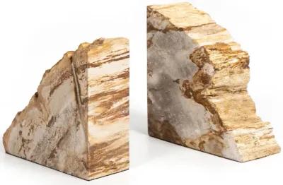 Petrified Wood Book Ends