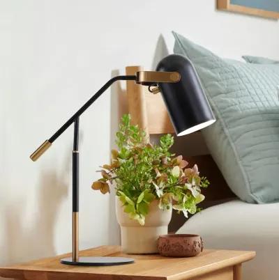 Edison Metal LED Task Lamp