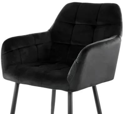 Elama 2 Piece Velvet Tufted Accent Chair in Black with Black Metal Legs