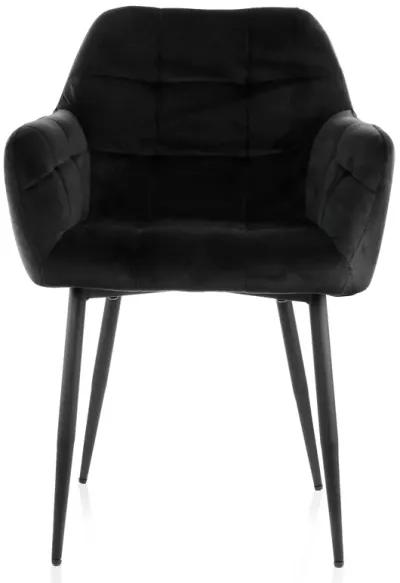 Elama 2 Piece Velvet Tufted Accent Chair in Black with Black Metal Legs