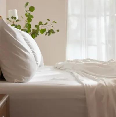 Bamboo Sheet Set