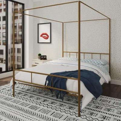 Novogratz Marion Canopy Bed