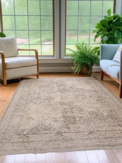 Cyprus CY6 Grey 7'10" x 10' Rug