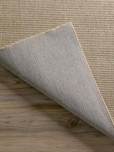 Monaco Sisal MC100 Taupe 3'6" x 5'6" Rug