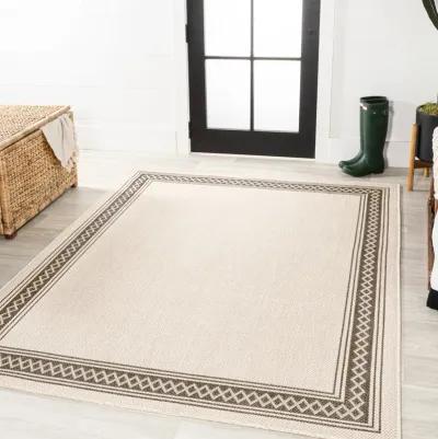 Lucia Classic Diamond Border Indoor/Outdoor Area Rug