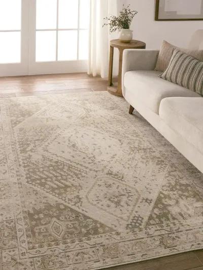 Swoon Rush Tan/Taupe 4' x 5'7" Rug