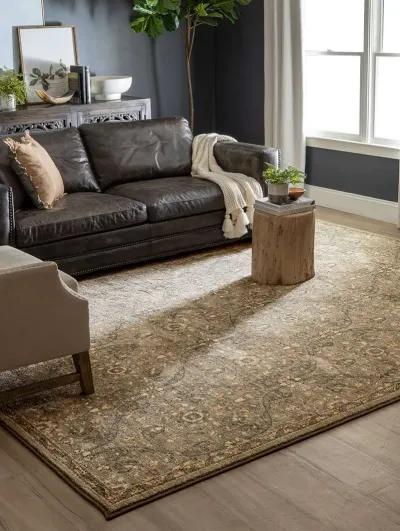 Euphoria Galway Willow gray 9'6" x 12'11" Rug