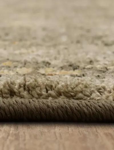 Euphoria Galway Willow gray 9'6" x 12'11" Rug