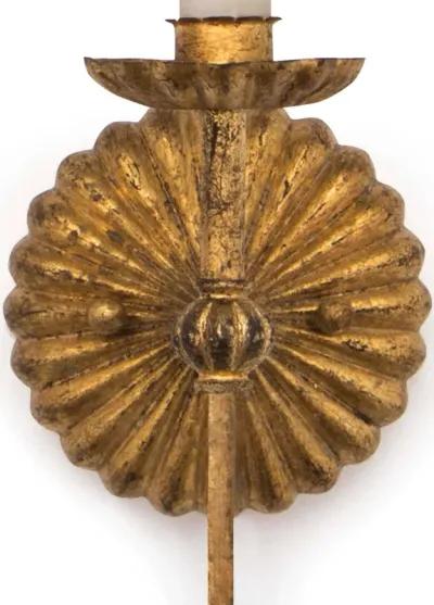 Clove Sconce Single