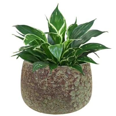 Sunnydaze 14" Lava Finish Planter - Green Distressed Ceramic - 2-Pack