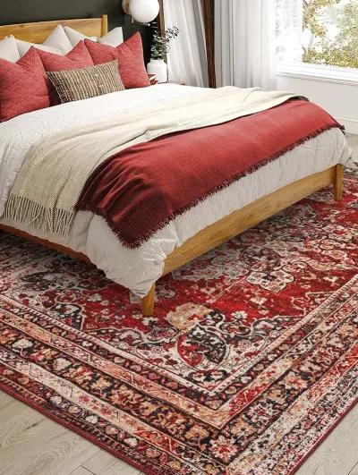 Jericho JC6 Garnet 8' x 10' Rug