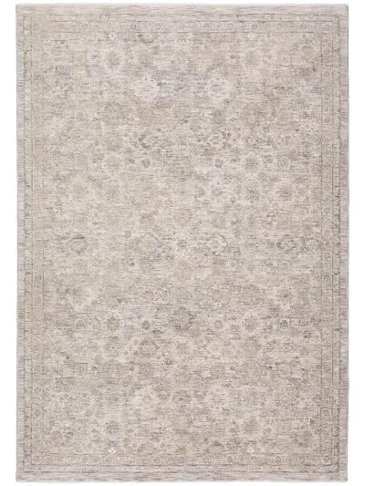 Cyprus CY10 Grey 3' x 5' Rug