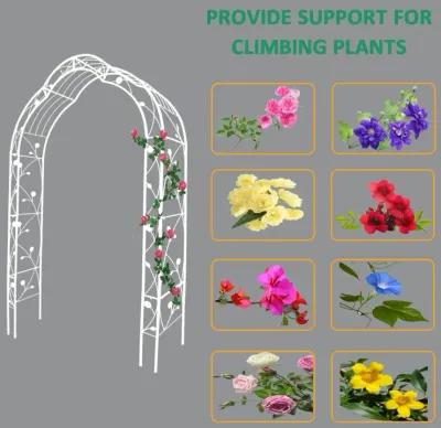 Customizable Metal Garden Arch for Weddings and Events