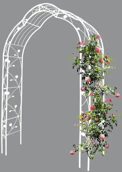 Customizable Metal Garden Arch for Weddings and Events