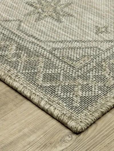 Tortuga 3'3" x 5' Beige Rug