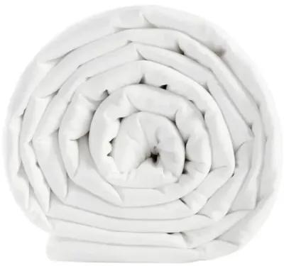 Gracie Mills Brielle Down Alternative Comforter - Twin