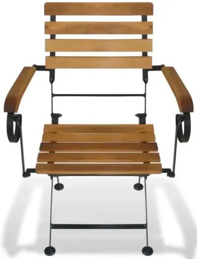 vidaXL Folding Patio Chairs 2 pcs Steel and Solid Wood Acacia