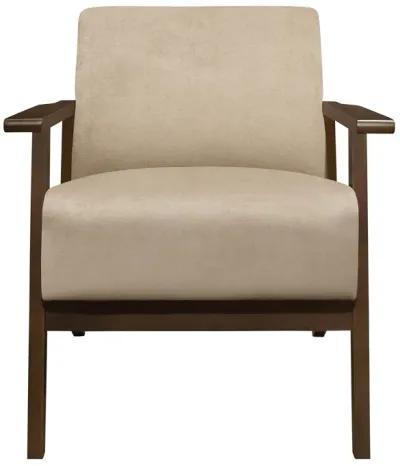 Rica 32 Inch Accent Armchair, Soft Beige Velvet, Walnut Brown Solid Wood - Benzara