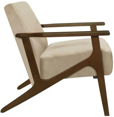 Rica 32 Inch Accent Armchair, Soft Beige Velvet, Walnut Brown Solid Wood - Benzara