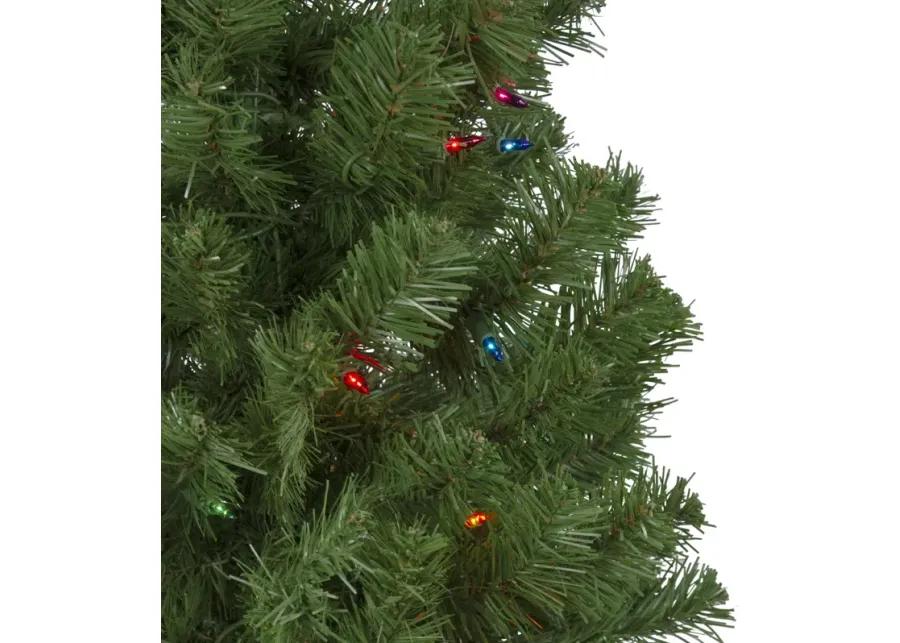 6' Pre-Lit Alberta Pine Slim Artificial Christmas Tree - Multi Lights