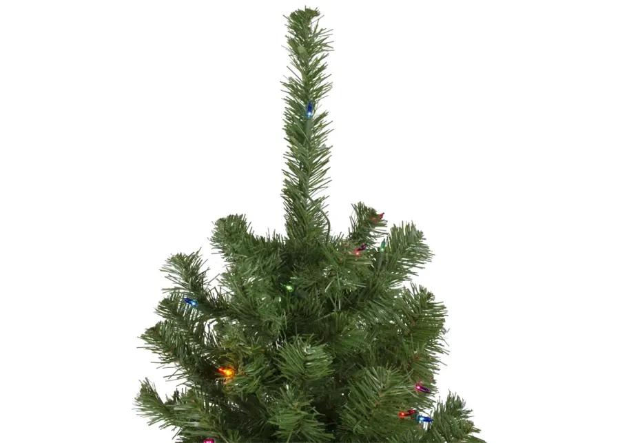 6' Pre-Lit Alberta Pine Slim Artificial Christmas Tree - Multi Lights