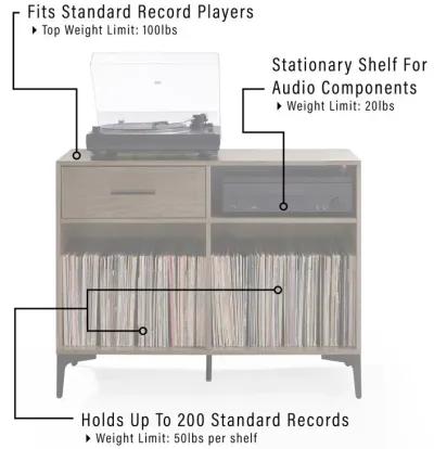 Sydney Record Storage Media Console Walnut