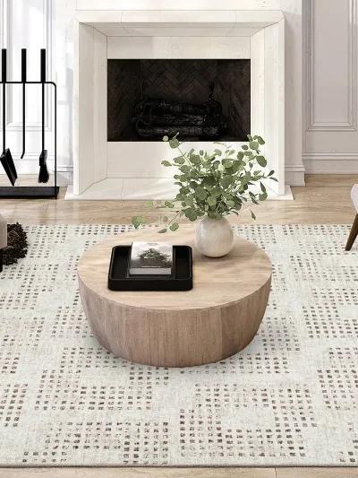 Delano DA1 Ivory 3' x 5' Rug